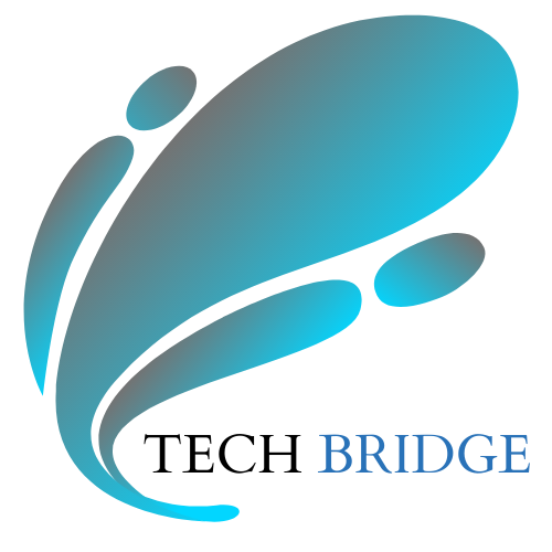 Techbridge INC